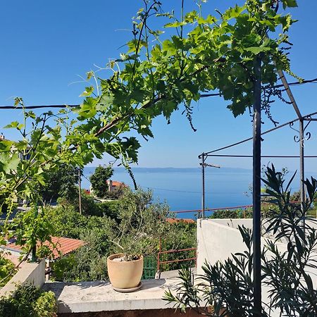 Mala Cele Apartment Podgora Bilik gambar