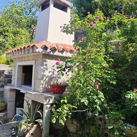 Mala Cele Apartment Podgora Bilik gambar
